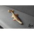 Форма Alburnus Shad (Верховодка)
