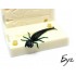 Форма Плавунець - 2" (50mm) (Diving Bug)