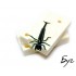 Форма Плавунець - 2" (50mm) (Diving Bug)
