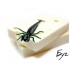 Форма Плавунець - 2" (50mm) (Diving Bug)