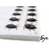 Форма Хруща (Maybug) 1"(25mm) - 10шт