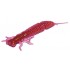 Форма ЛАРВА (LARVA)