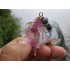 Форма Рінг Шрімп (Ring Shrimp)