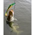 Форма Піг Шед (StrikePro Pig Shad)