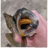 Форма Сакура (Sakura Slit Shad)