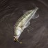 Форма Сакура (Sakura Slit Shad)