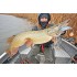 Форма Savage Gear Herring Shad 7.6"