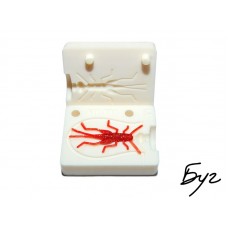 Форма Коник - 1.4" (35мм) (GrassHopper)