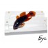 Форма Гобі Шед - 3" (75mm) (Goby Shad)