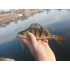 Форма Кастом Ліч (Custom Leech)